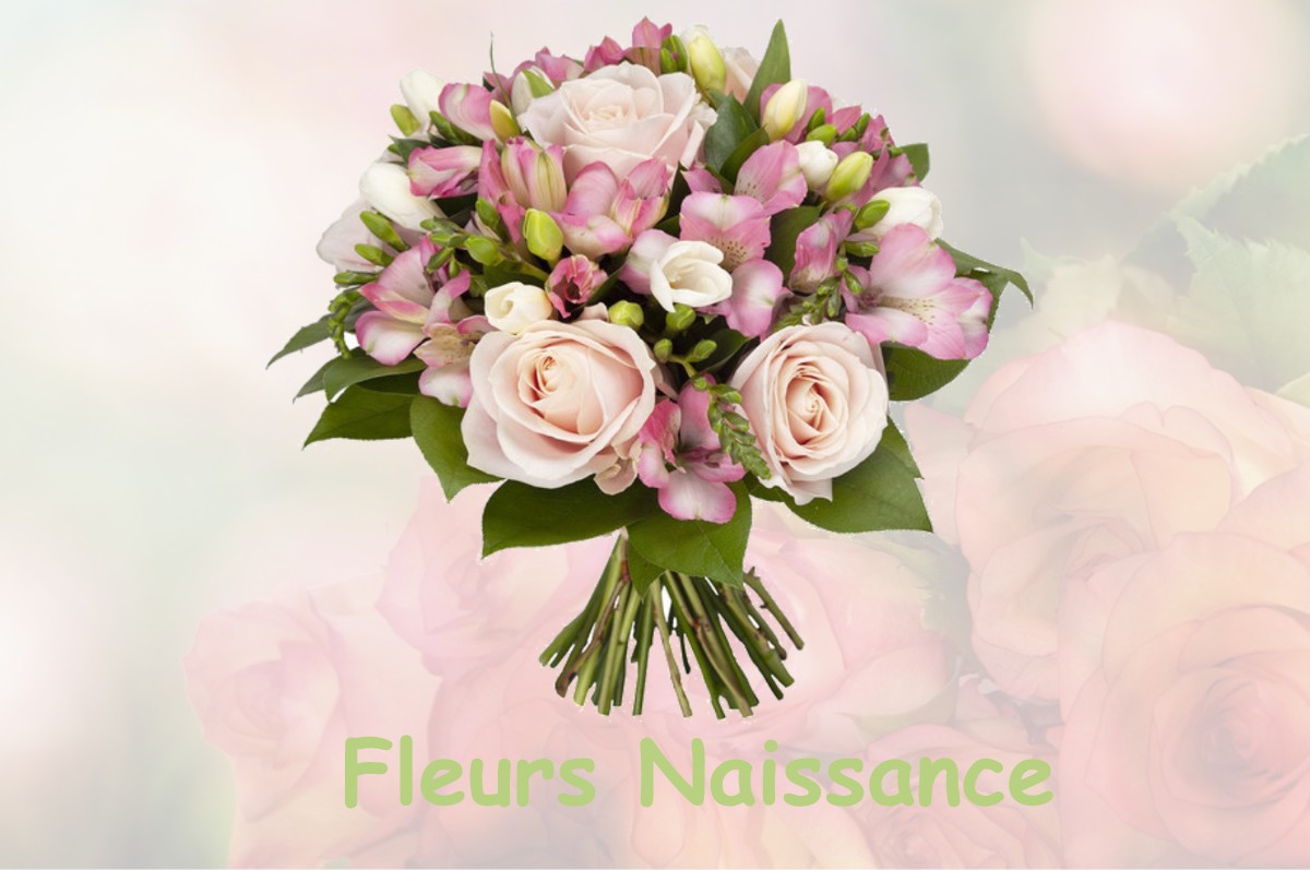 fleurs naissance MENETREUX-LE-PITOIS