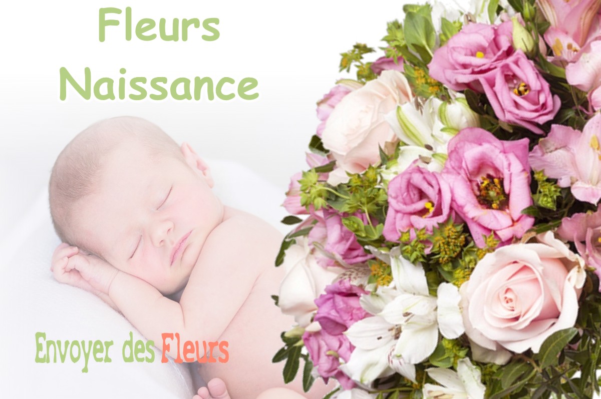 lIVRAISON FLEURS NAISSANCE à MENETREUX-LE-PITOIS